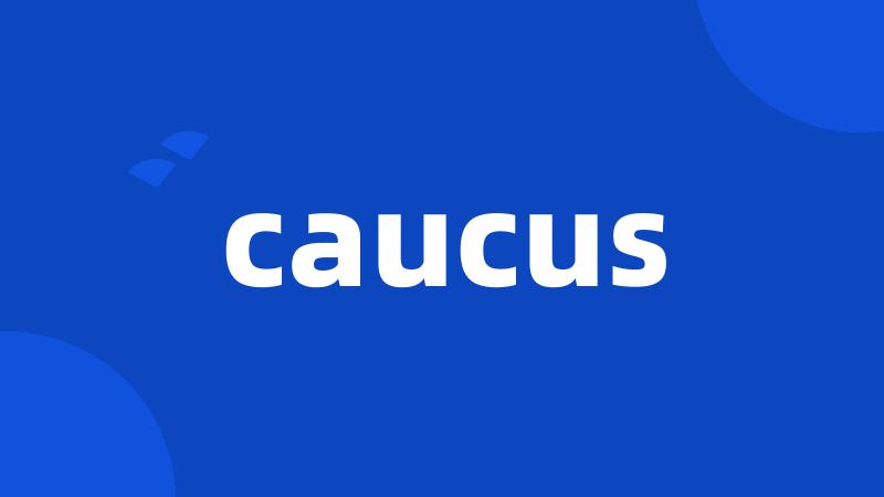 caucus