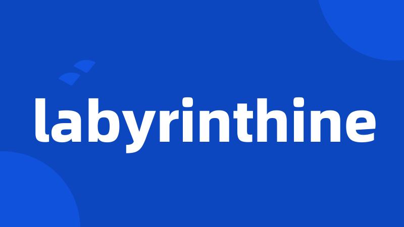 labyrinthine