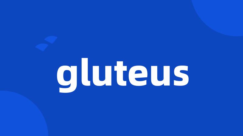 gluteus