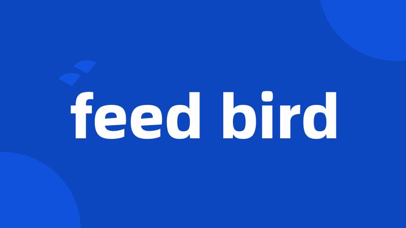 feed bird