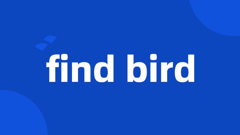 find bird
