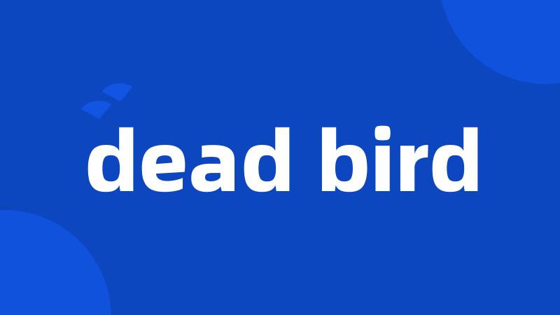 dead bird