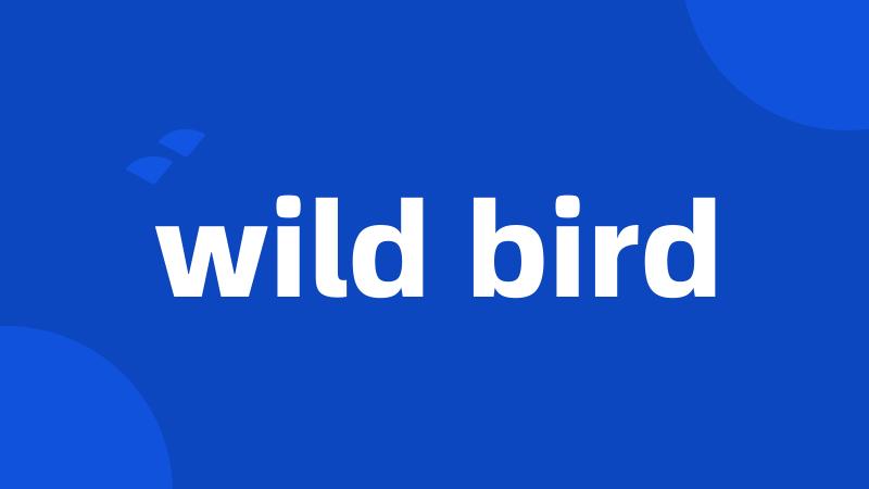 wild bird