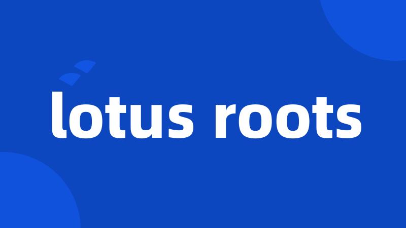 lotus roots