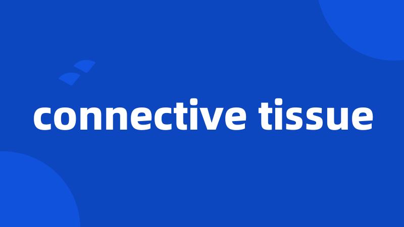 connective tissue