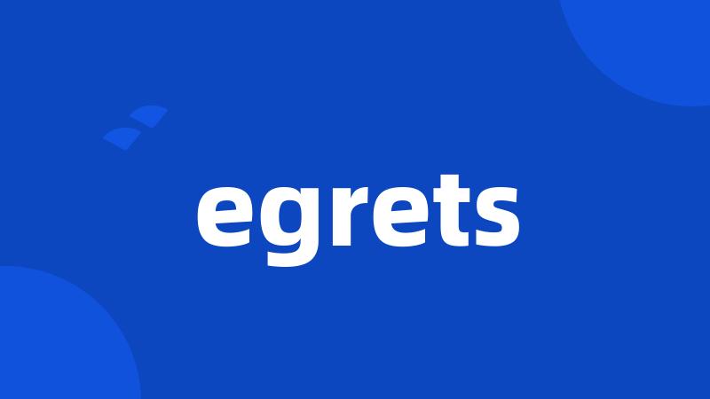 egrets