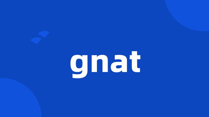 gnat