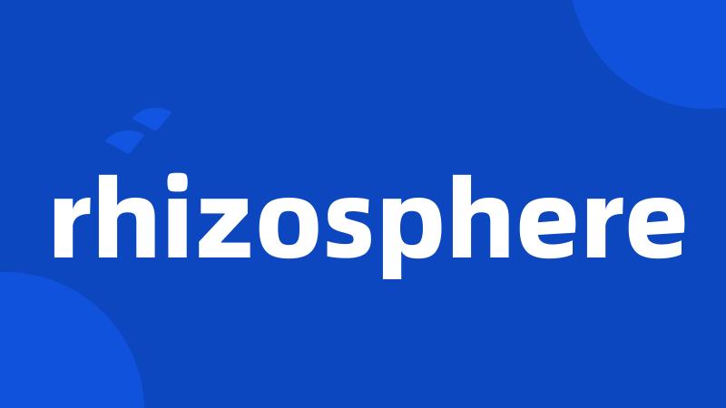 rhizosphere