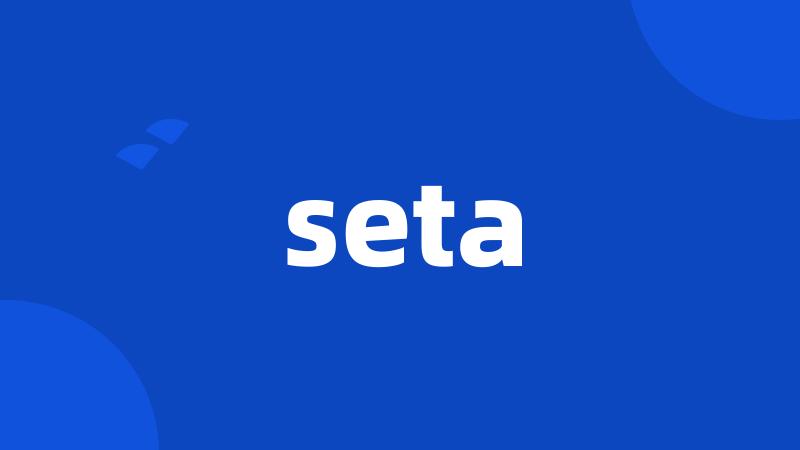 seta