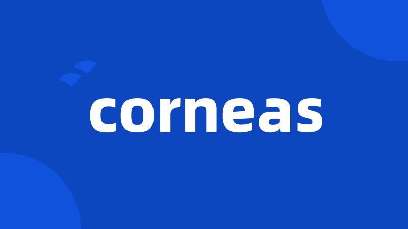 corneas