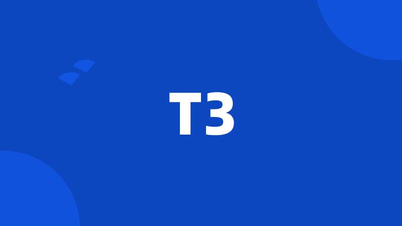 T3