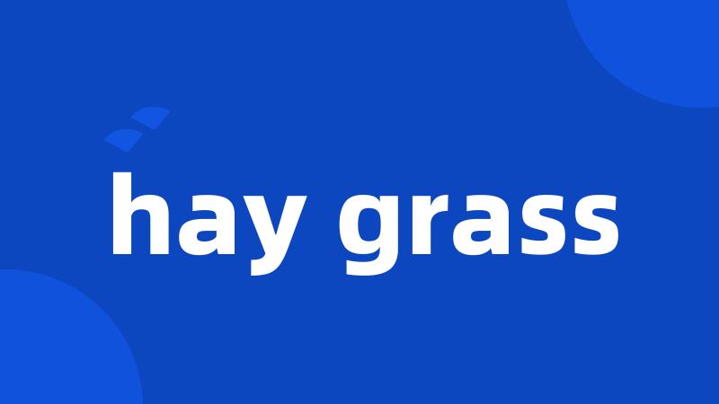 hay grass