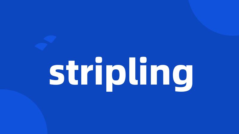 stripling