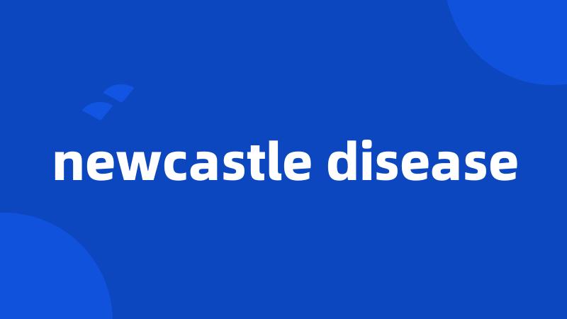 newcastle disease