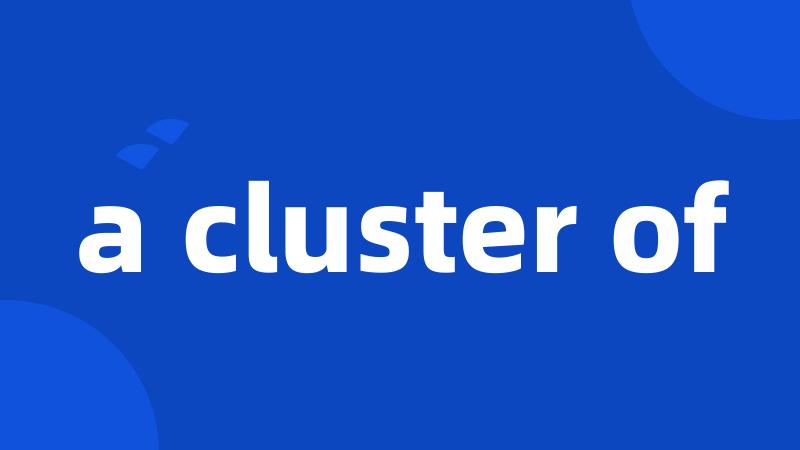 a cluster of