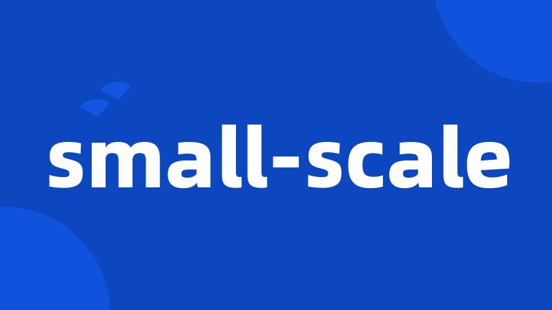 small-scale