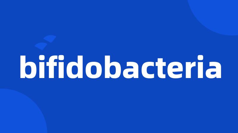 bifidobacteria