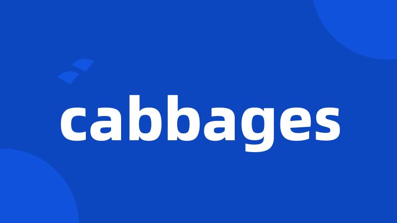 cabbages