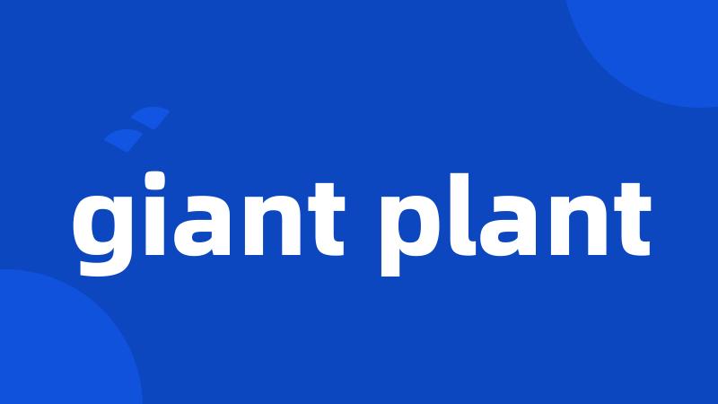 giant plant