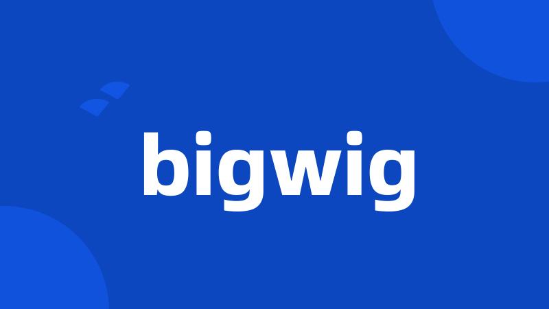 bigwig