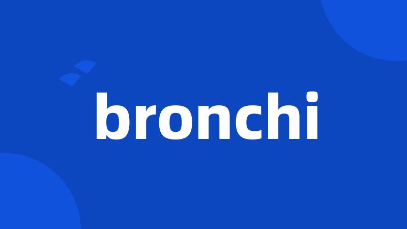 bronchi