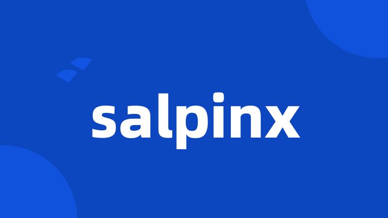 salpinx