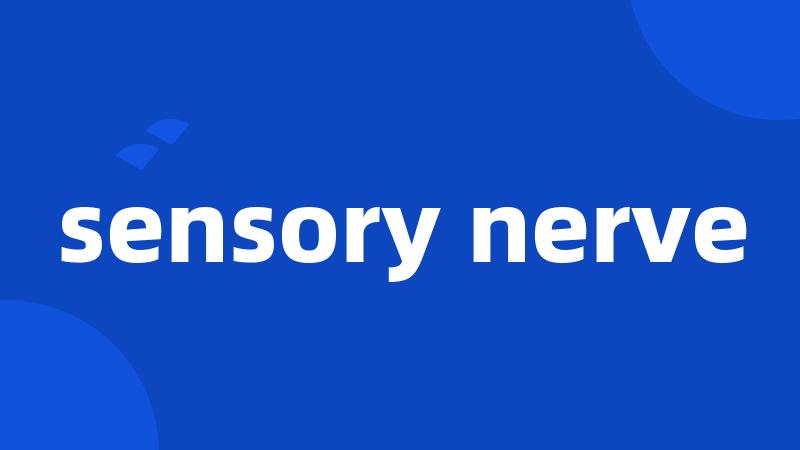 sensory nerve
