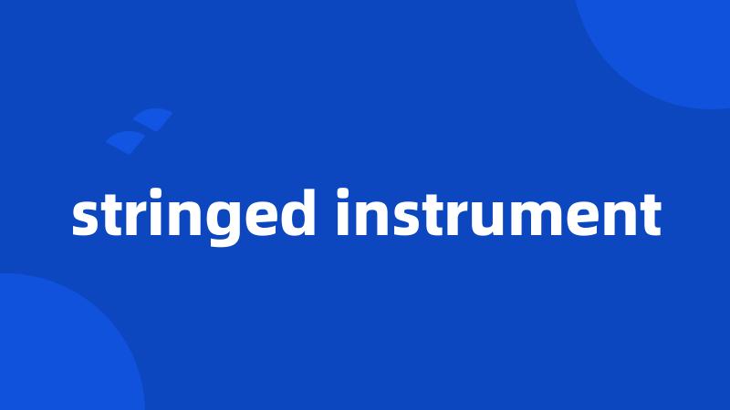 stringed instrument