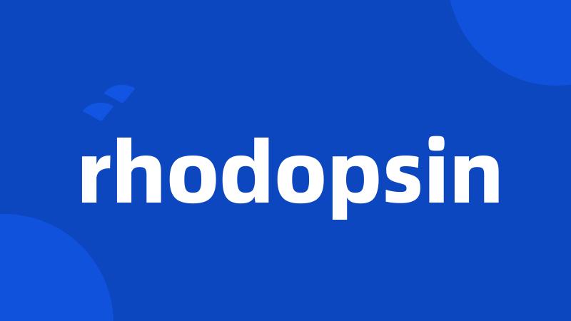 rhodopsin