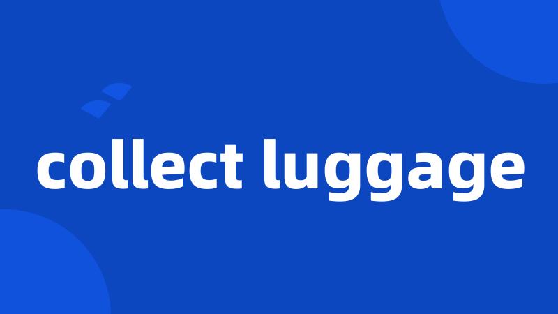 collect luggage