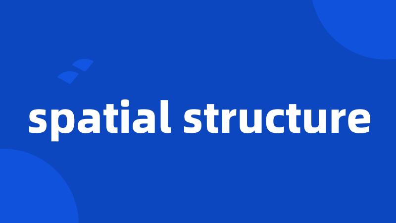 spatial structure