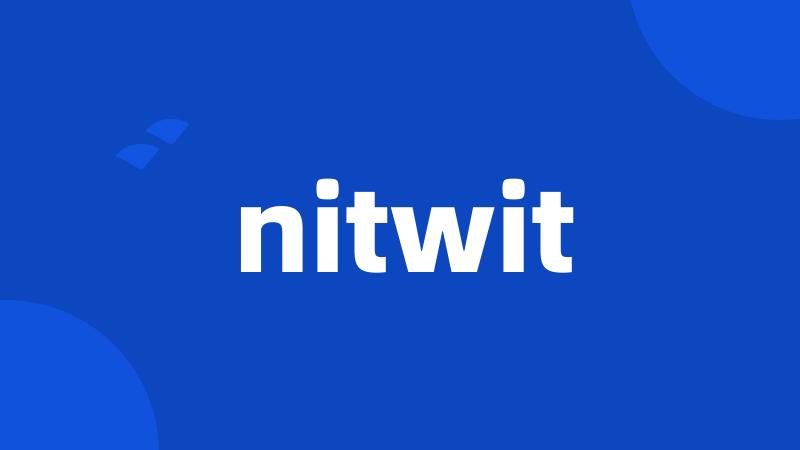 nitwit