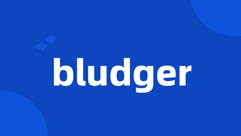 bludger