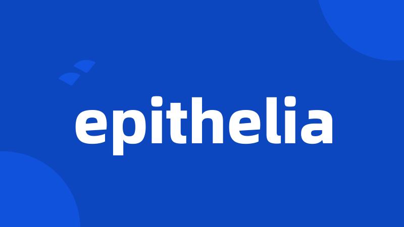 epithelia