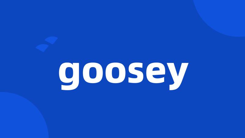 goosey