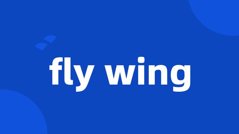 fly wing