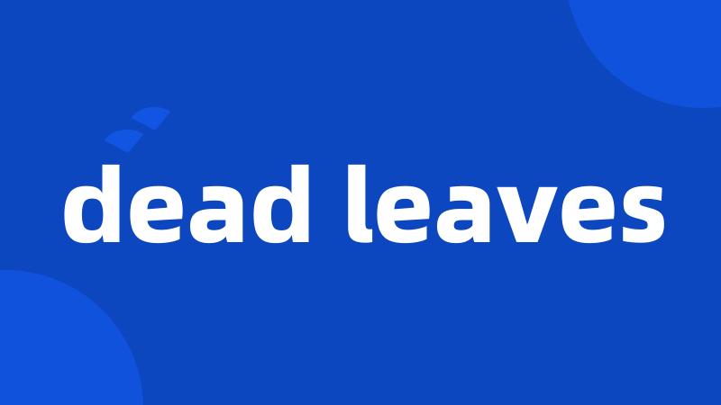 dead leaves