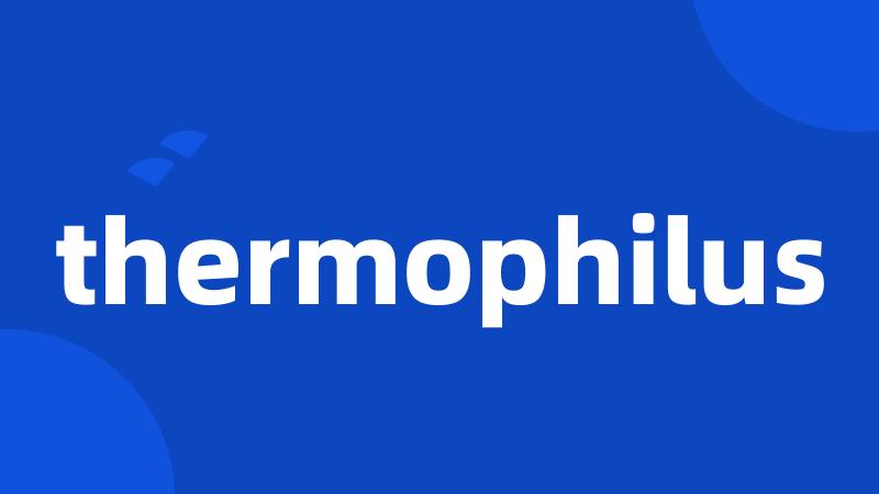 thermophilus