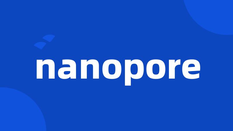 nanopore