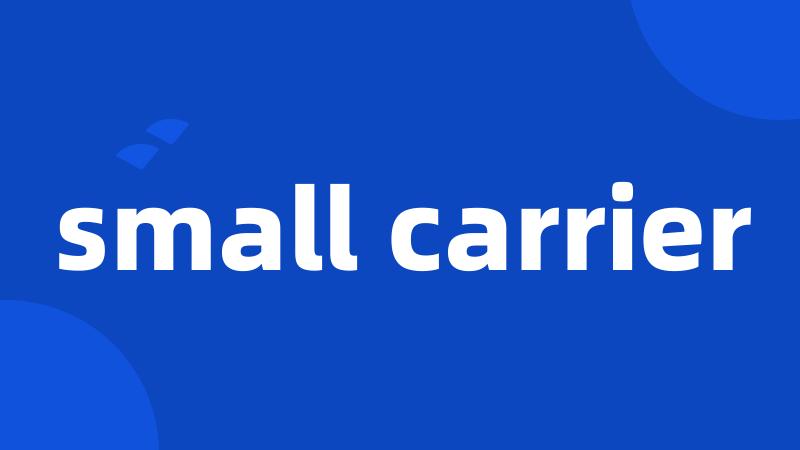 small carrier