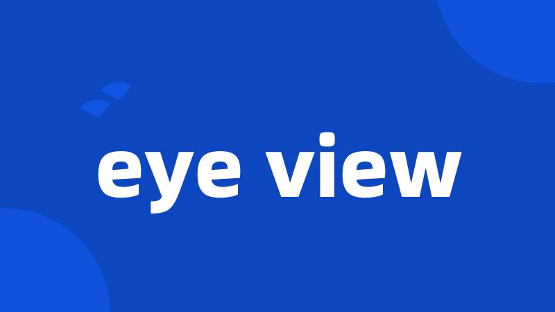 eye view