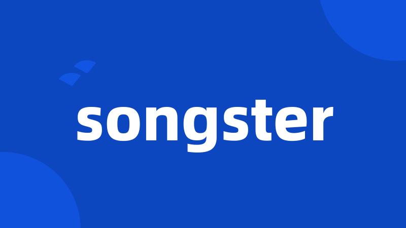 songster