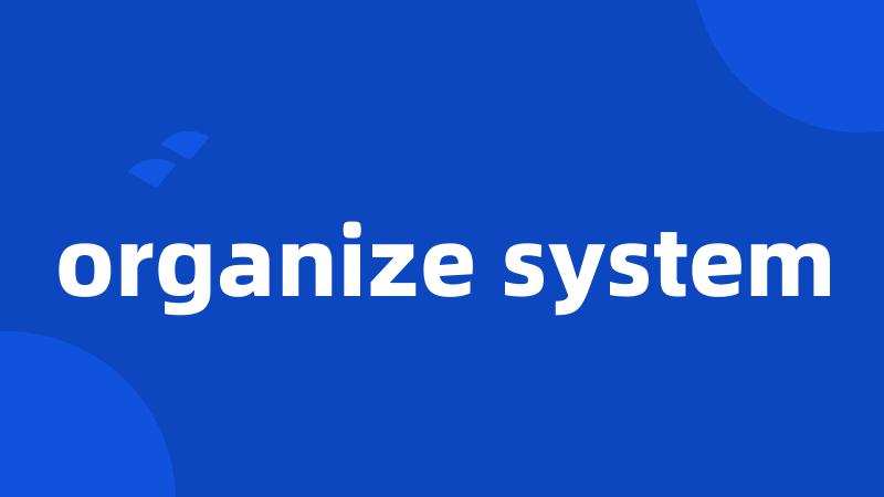 organize system
