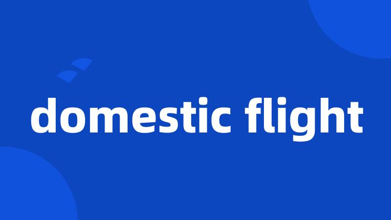 domestic flight