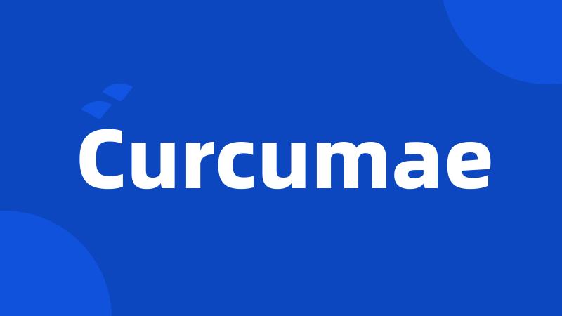 Curcumae