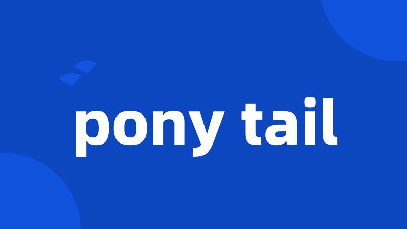 pony tail