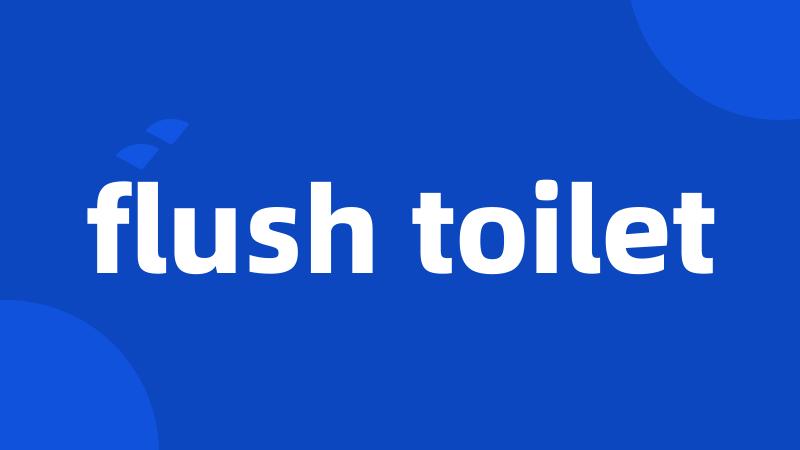 flush toilet