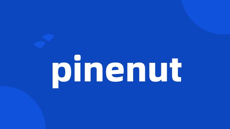 pinenut