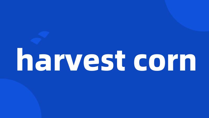 harvest corn