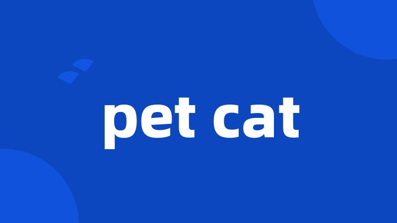 pet cat